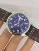 Swiss Replica IWC Schaffhausen Mark Xvii pilot Watch 2892 (2)_th.jpg
